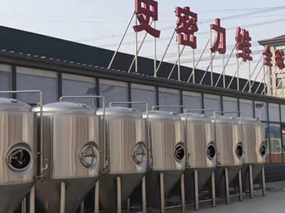 普陀精酿啤酒设备厂—如何判断精酿啤酒设备的密封件需要更换？